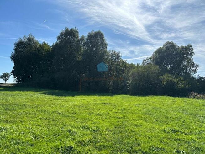 Działka inwestycyjna Łubowo Owieczki, Owieczki