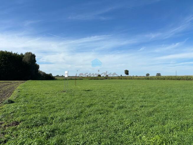 Działka inwestycyjna Łubowo Owieczki, Owieczki