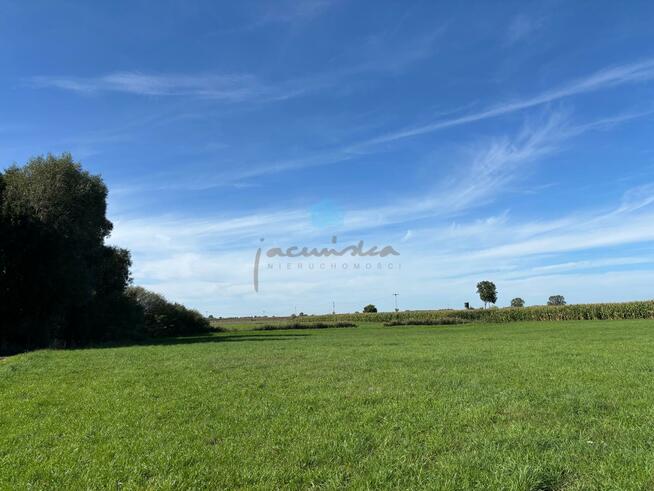 Działka inwestycyjna Łubowo Owieczki, Owieczki