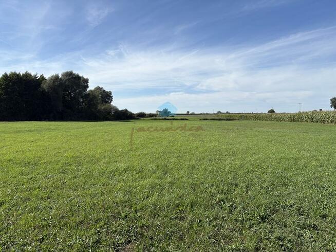 Działka inwestycyjna Łubowo Owieczki, Owieczki