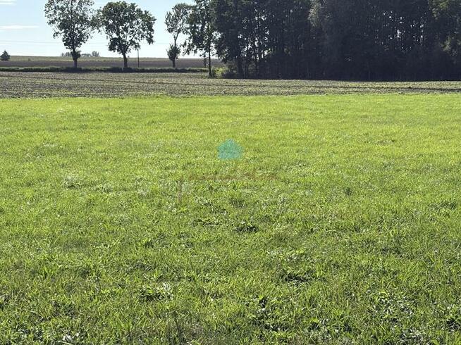 Działka inwestycyjna Łubowo Owieczki, Owieczki