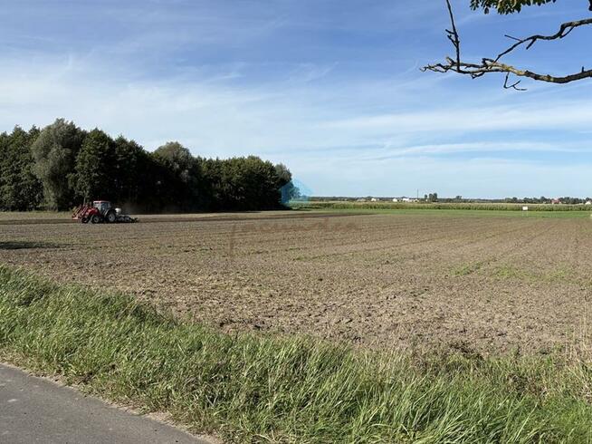 Działka inwestycyjna Łubowo Owieczki, Owieczki