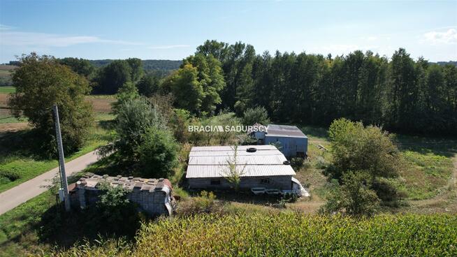 Działka Kazimierza Wielka Gunów-Wilków