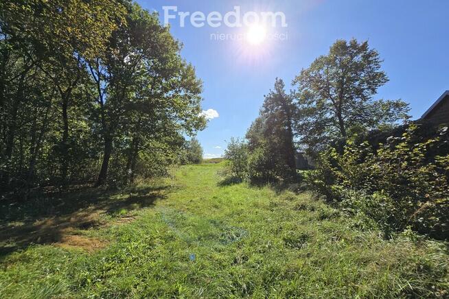 Urokliwe siedlisko nad Bugiem – Derło, gm. Rokitno