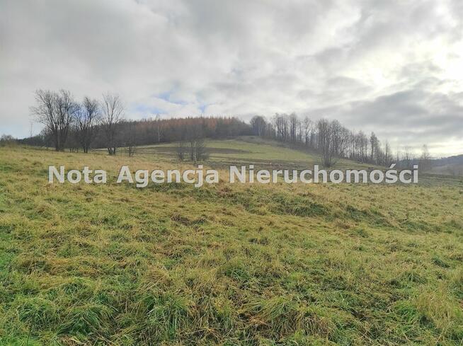 Działka budowlana Jugowice gm. Walim