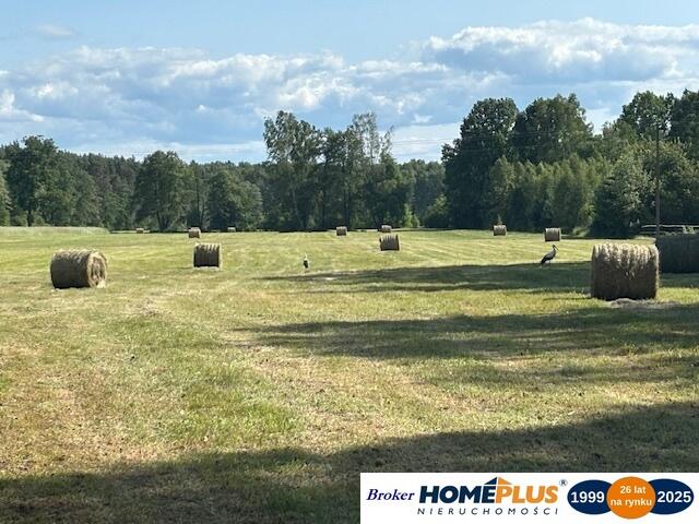 Siedlisko pod lasem, 1,8 ha niedaleko Warszawy