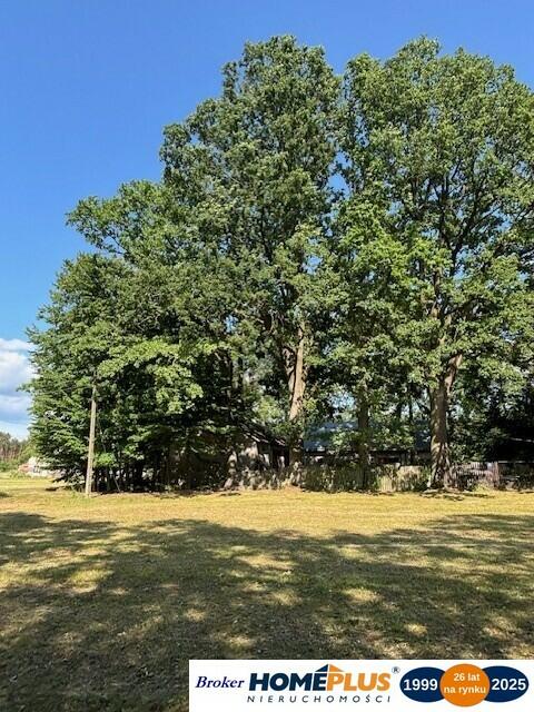 Siedlisko pod lasem, 1,8 ha niedaleko Warszawy