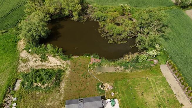 Działka budowlana Dąbcze gm. Rydzyna, Zamoyskiego