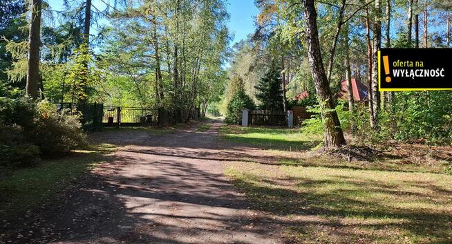 Działka leśna Suków gm. Daleszyce Podmarzysz,