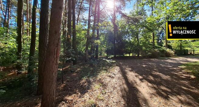 Działka leśna Suków gm. Daleszyce Podmarzysz,