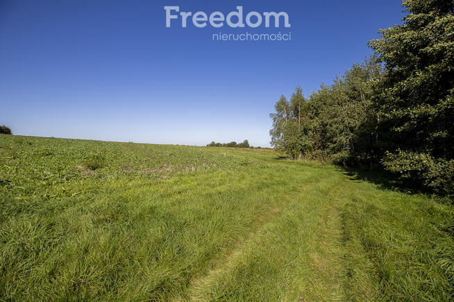 Działka rolna 15 ar pod uprawy, Trzciana