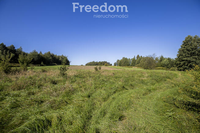 Działka rolna 15 ar pod uprawy, Trzciana