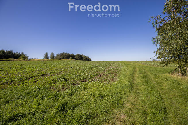 Działka rolna 15 ar pod uprawy, Trzciana
