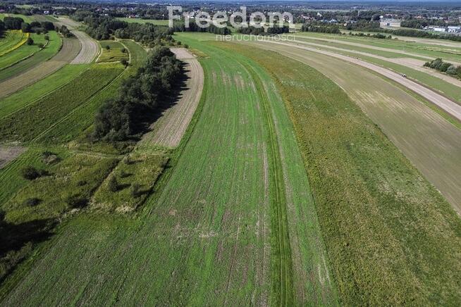 Działka rolna 15 ar pod uprawy, Trzciana