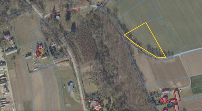 Działka budowlana Wojciechów-Kolonia Pierwsza gm. Wojciechów,