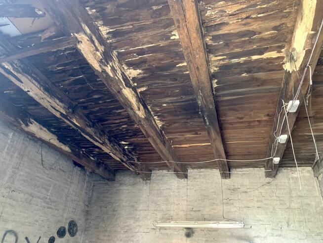 Lokal użytkowy Oława, 3 Maja