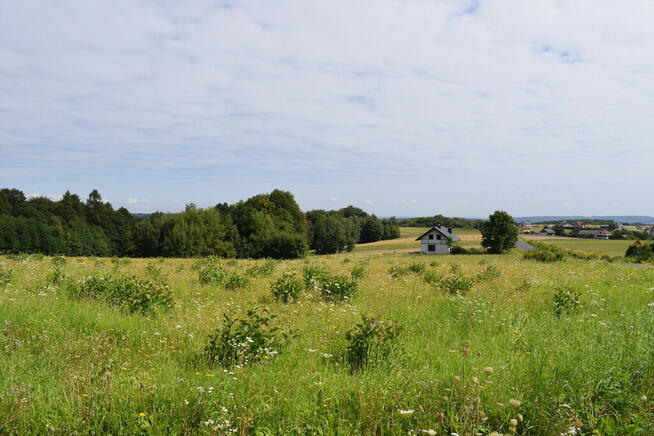 Działki budowlane 21.5a w miejscowości Mała.