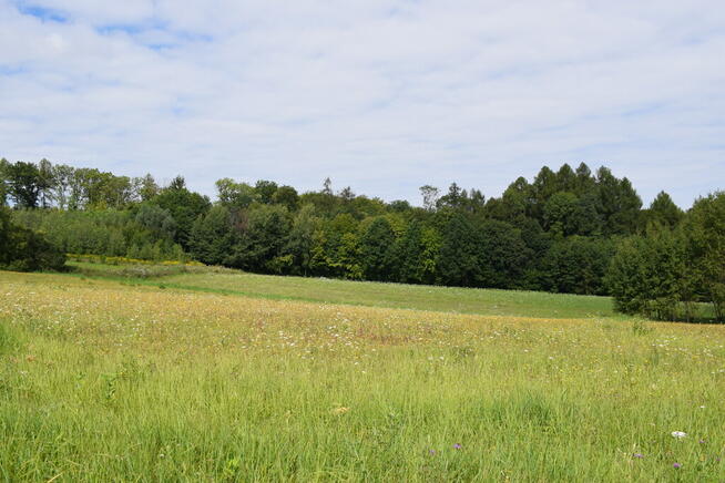 Działki budowlane 21.5a w miejscowości Mała.