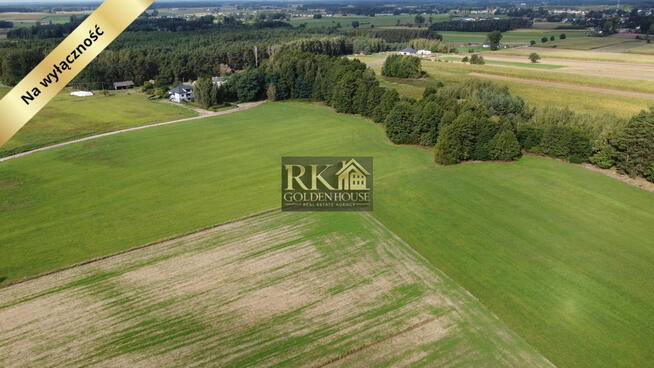 Idealne miejsce na budowę domu pośród drzew - Bale