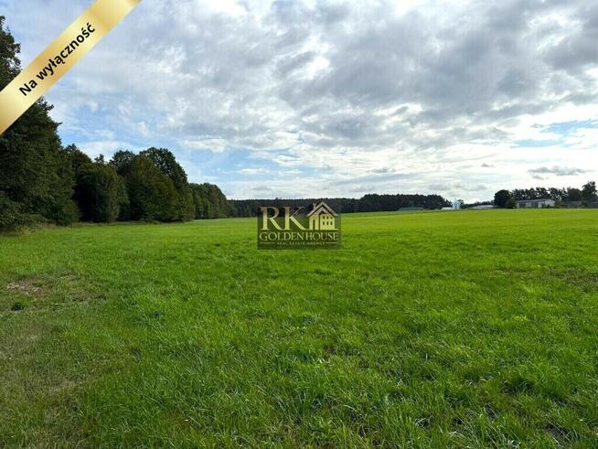 Działka pod lasem na sprzedaż – Bale, gm. Mokobody