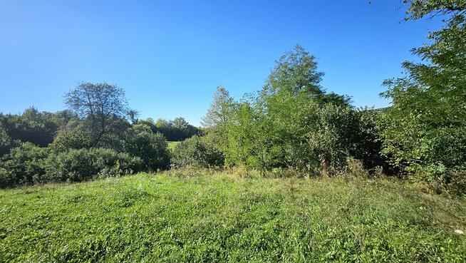 Siedlisko- Rzepiennik Biskupi- Małopolska