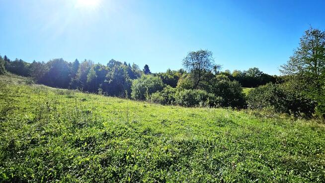 Siedlisko- Rzepiennik Biskupi- Małopolska