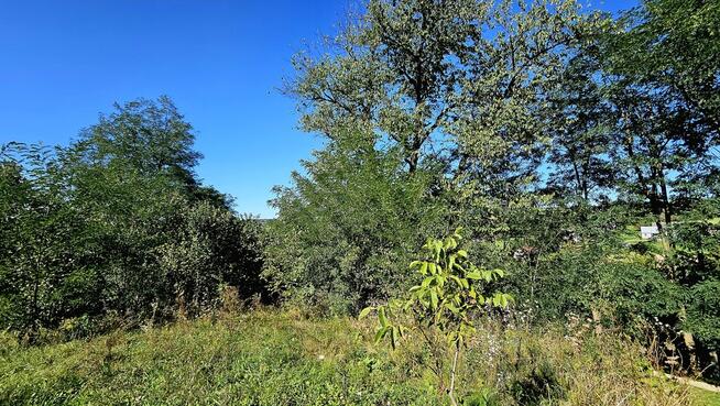 Siedlisko- Rzepiennik Biskupi- Małopolska