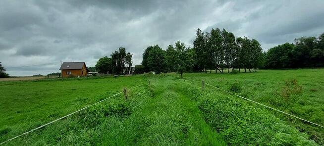Syndyk sprzeda - Ponikiew Duża