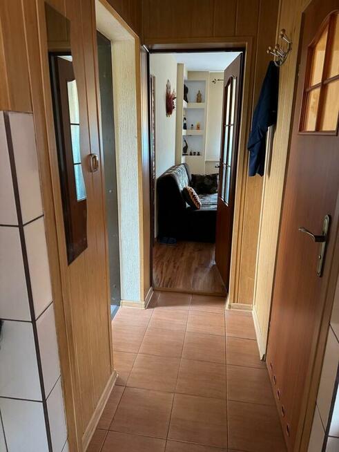 Mieszkanie. Przyłogi gmina Smyków.