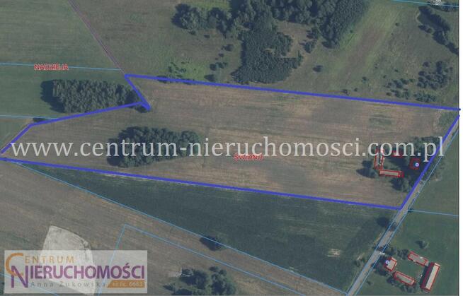 Siedlisko na sprzedaż