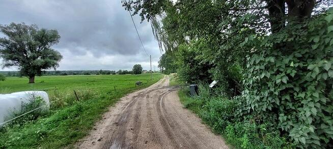 Syndyk sprzeda - Ponikiew Duża