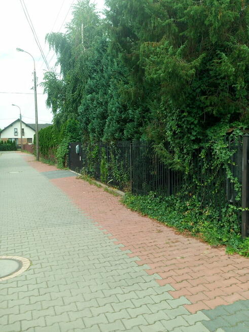 w Grodzisku 175m . 2 osobne budynki 300m od SP2