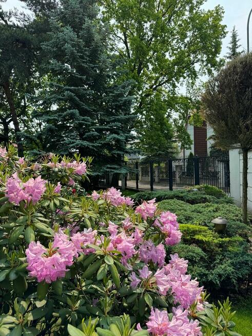 Piękna rezydencja. Warszawa - Anin.