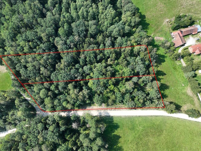 Działki leśne 1,1ha Trygort Mazury 500m do jeziora Mamry