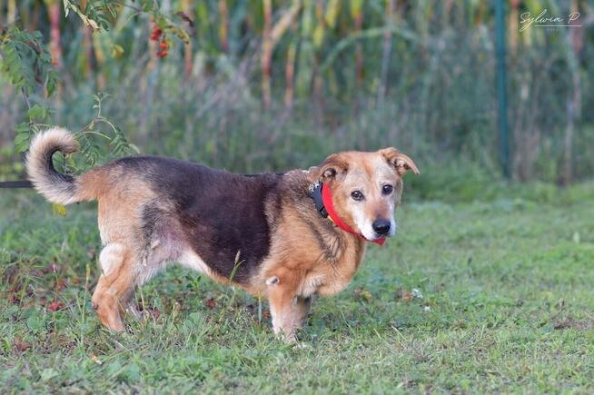 Axa - seniorka o złotym sercu