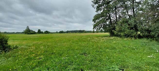 Syndyk sprzeda - Ponikiew Duża