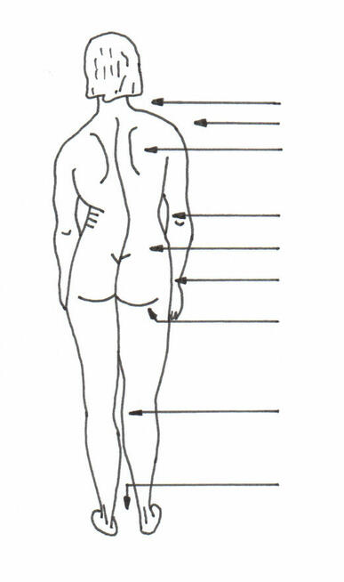 Doktor zatrudni przedstawiciela na Lublin