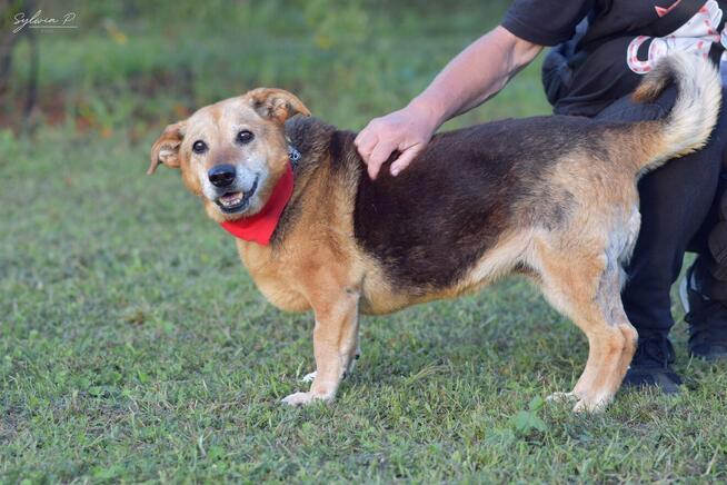Axa - seniorka o złotym sercu