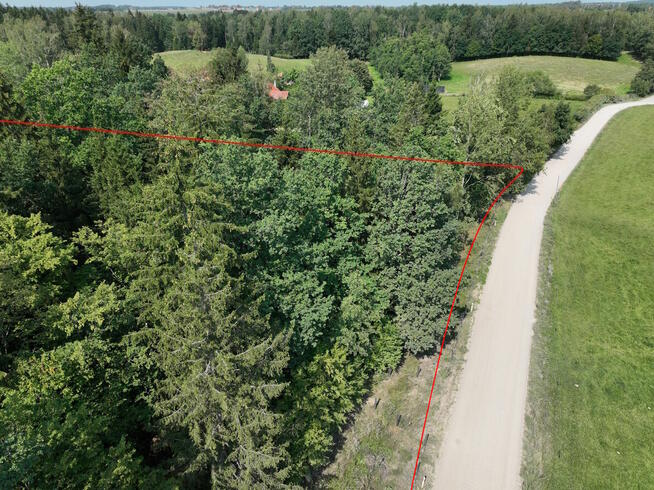 Działki leśne 1,1ha Trygort Mazury 500m do jeziora Mamry