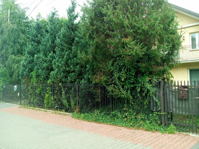 84m2 mieszkanie квартирa 300m działki