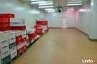 wynajmę magazyn chłodnia, mrożnia biura produkcja sklep market