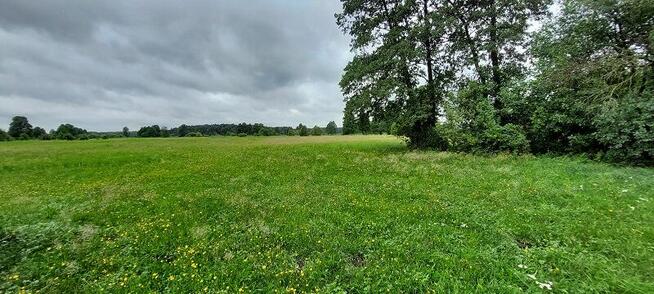 Syndyk sprzeda - Ponikiew Duża