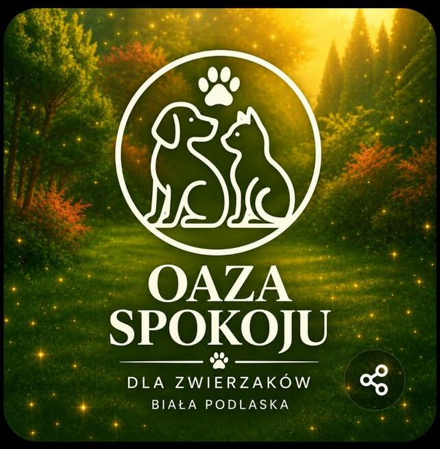Opieka zwierzątami/ spacery/ opieka dzienna