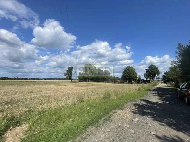 Dostęp do stawu ok 20m,zielony zagajnik .Tułowice