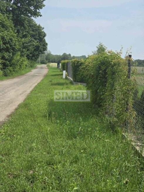 Dostęp do stawu ok 20m,zielony zagajnik .Tułowice