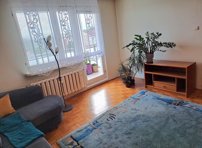 2-pokojowe mieszkanie 45 m² + 13 m² balkon