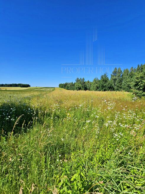 Działka budowlana Polanówka gm. Strzyżewice