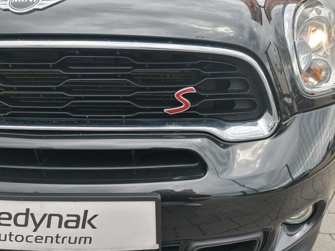 Mini Paceman