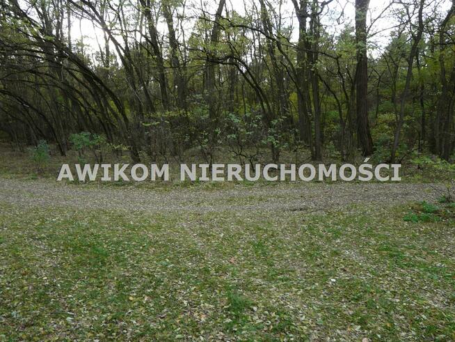 Działka rolna Puszcza Mariańska Wycześniak