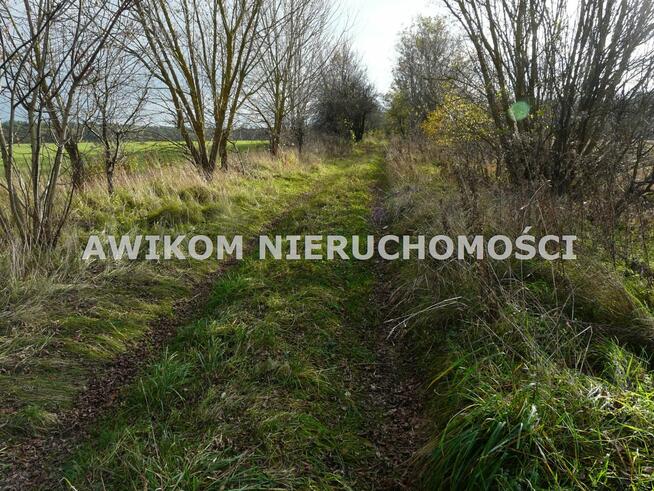 Działka rolna Puszcza Mariańska Wycześniak
